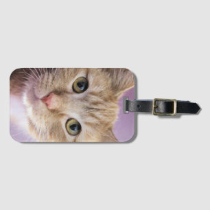Etiqueta De Bagagem Gato