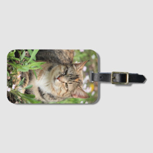 Etiqueta De Bagagem Gato