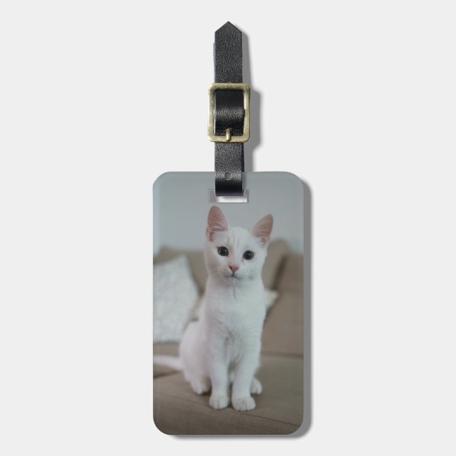 Etiqueta De Bagagem Gato branco | Zazzle_Growth. (Frente Vertical)
