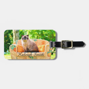 Etiqueta De Bagagem Gato British Shorthair Personalizado no Sofá Laran