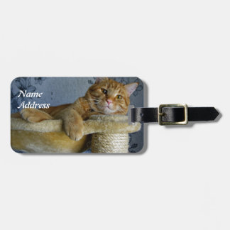 Etiqueta De Bagagem Gato de relaxamento