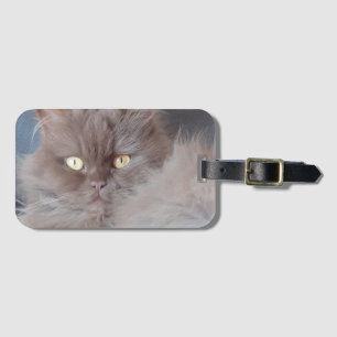 Etiqueta De Bagagem Gato Fofinho