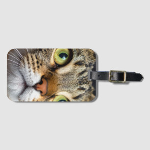 Etiqueta De Bagagem Gato fofo
