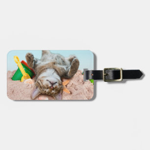 Etiqueta De Bagagem Gato na praia e céu azul