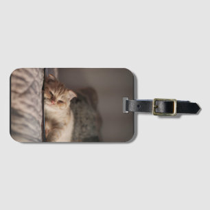 Etiqueta De Bagagem Gato, Pet, Gatinho