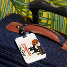 Gato Preto Engraçado Derrubando Abóbora de Hallowe