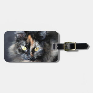 Etiqueta De Bagagem Gato Siberiano