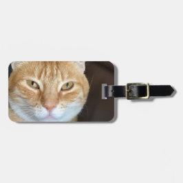 Etiqueta De Bagagem Gato tabby laranja