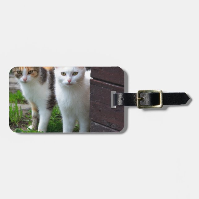 Etiqueta De Bagagem Gatos fora brincando (Frente Horizontal)