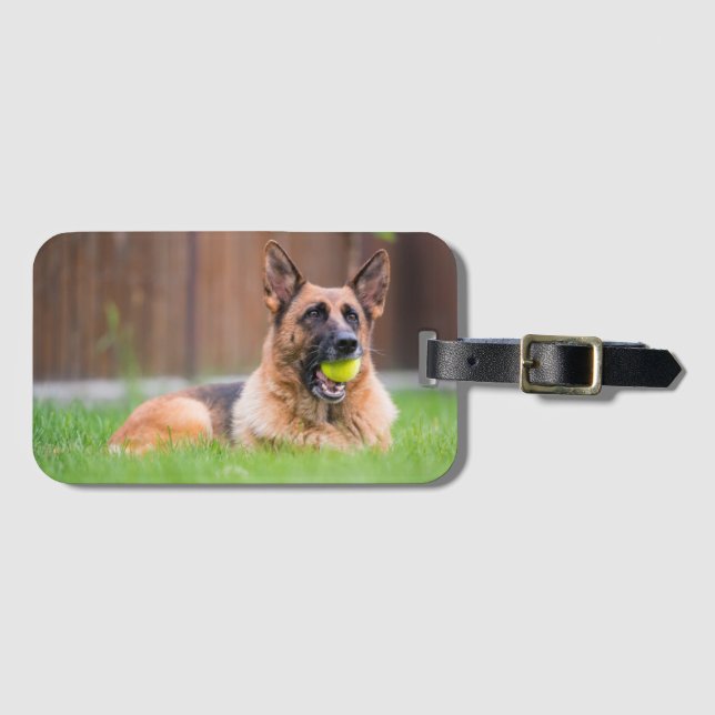 Etiqueta De Bagagem German shepherd Com Bola De Tênis (Frente Horizontal)
