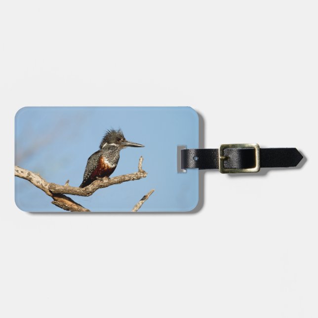Etiqueta De Bagagem Giant Kingfisher (Frente Horizontal)