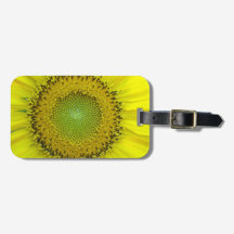 Girassol Amarelo