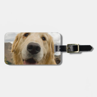 Etiqueta De Bagagem Golden retriever feliz