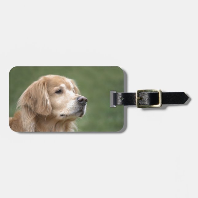 Etiqueta De Bagagem Golden retriever no close up (Frente Horizontal)