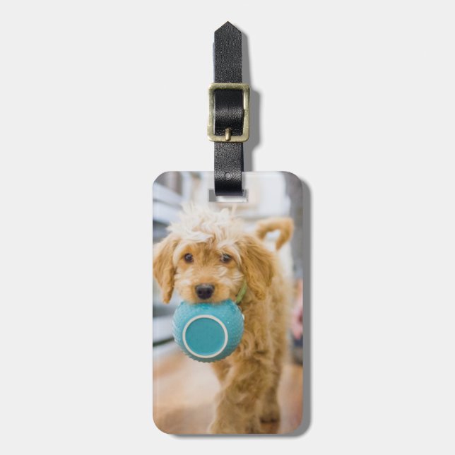 Etiqueta De Bagagem Goldendoodle Carregando Jantar Bowl (Frente Vertical)