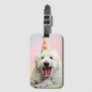 Etiqueta De Bagagem Goldendoododle com chapéu de festa