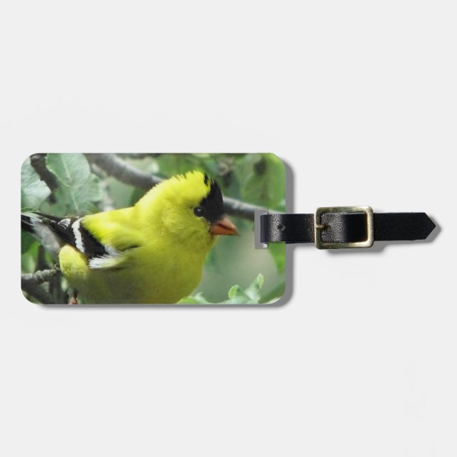 Etiqueta de Bagagem Goldfinch (Frente Horizontal)