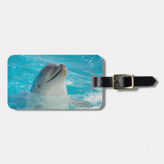 Etiqueta De Bagagem Golfinho feliz da natação