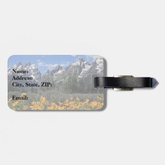 Etiqueta De Bagagem Grand Teton Springtime Souvenir Foto
