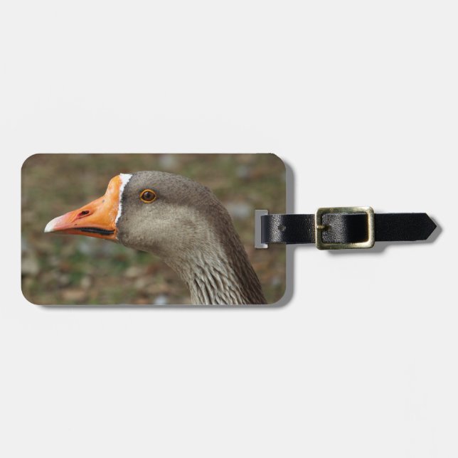Etiqueta De Bagagem Greylag Swan Goose Cross (Frente Horizontal)