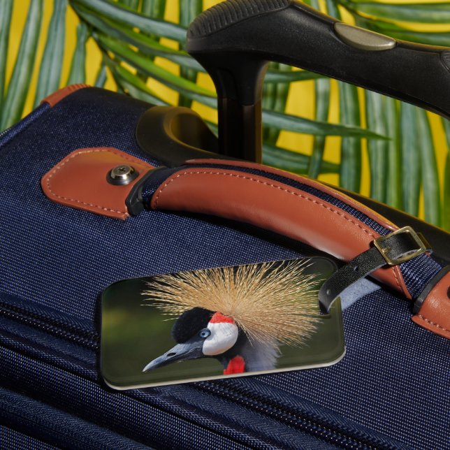 Etiqueta De Bagagem Grua-de-coleira-preta (Frente Insitu 3)