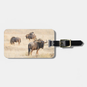 Etiqueta De Bagagem Grupo de fotografias de gnus