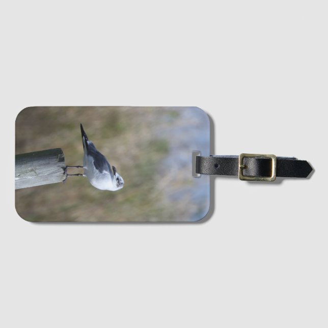 Etiqueta De Bagagem Gull no Posto (Frente Horizontal)