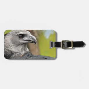 Etiqueta De Bagagem Harpy Eagle 1.JPG