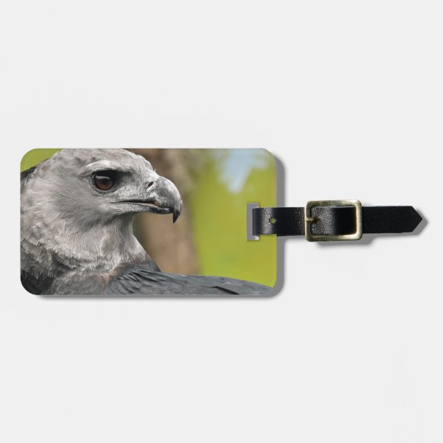 Etiqueta De Bagagem Harpy Eagle 1.JPG (Frente Horizontal)