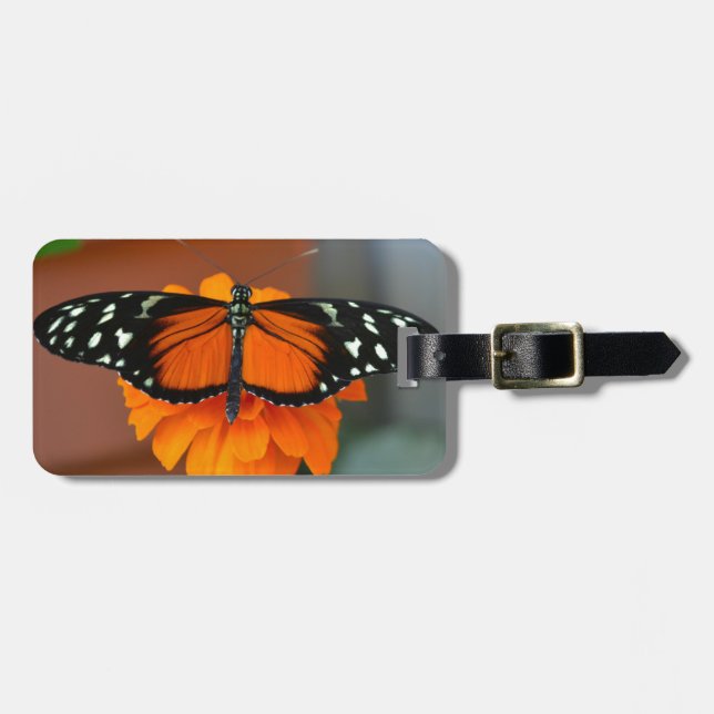 Etiqueta De Bagagem Hecale Longwing Butterfly (Frente Horizontal)
