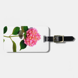 Etiqueta De Bagagem Hidrangea Rosa