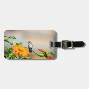 Etiqueta De Bagagem Hummingbird numa floração