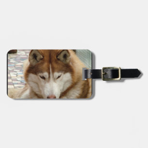 Etiqueta de Bagagem Husky Marrom
