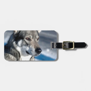 Etiqueta de bagagem Husky na neve