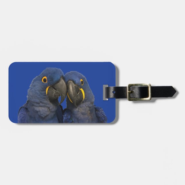 Etiqueta De Bagagem Hyacinth Macaw Parrot Bird Rare Blue (Frente Horizontal)