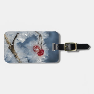 Etiqueta De Bagagem Ice Berries