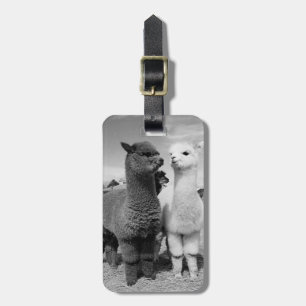 ETIQUETA DE BAGAGEM IDENTIFICAÇÃO DO SONHO DE ALPACA AMOR DE LUGAGEM
