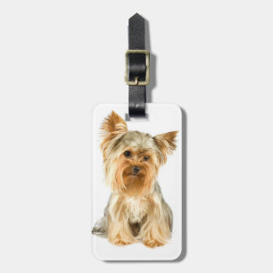 Etiqueta De Bagagem Identificador de Bagagem de Filhote Yorkie