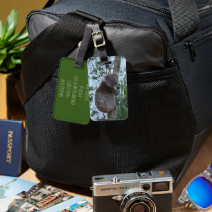 Etiqueta De Bagagem Ilha Kangaroo, Austrália - Cuta Koala em uma árvor