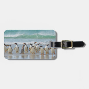 Etiqueta De Bagagem Ilhas Falkland. Ilha Saunders. Pinguim-de-gentoo