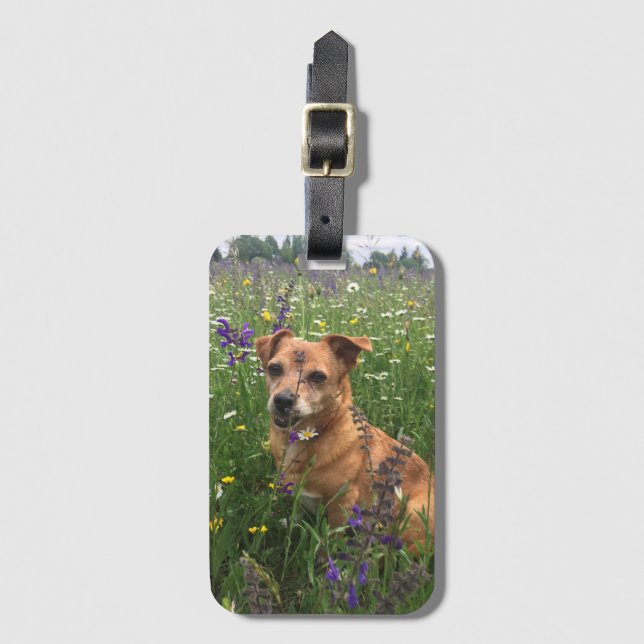Etiqueta De Bagagem Imagem do seu próprio cão (Frente Vertical)