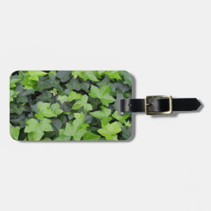 Etiqueta De Bagagem Impressão de Botânica de Ivy Verde