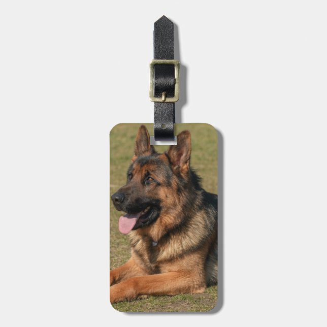 Etiqueta De Bagagem Inserção do german shepherd sua própria foto (Frente Vertical)