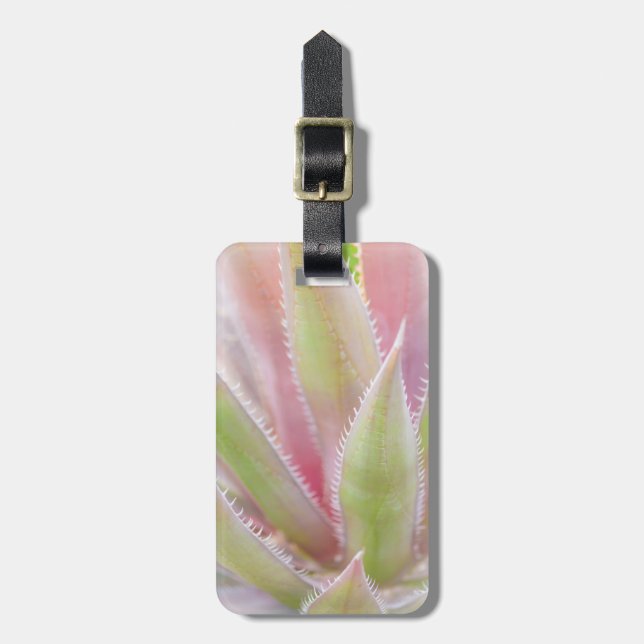 Etiqueta De Bagagem Instalação de Yucca (Frente Vertical)