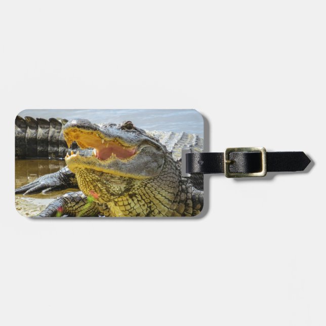 Etiqueta De Bagagem Jacaré. Frente a frente (Frente Horizontal)