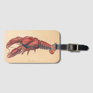 Etiqueta De Bagagem James Sowerby Sernotated Lobster