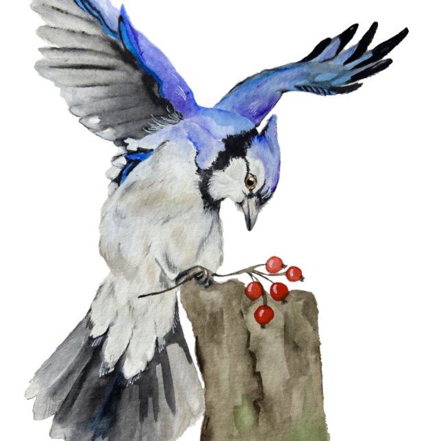 Etiqueta De Bagagem Jay azul-marinho (Criador carregado)