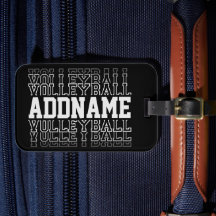 Jogador da Equipe de Logotipo de Voleibol em Desap