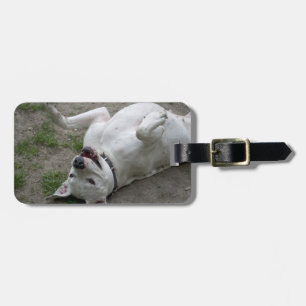 Etiqueta De Bagagem Jogando Dogo Argentino