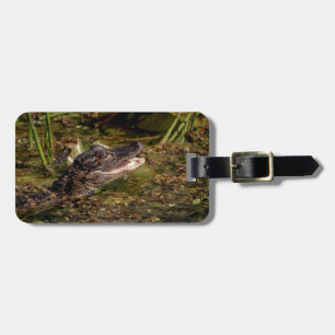 Etiqueta De Bagagem Jovem Alligator